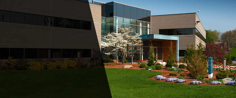 Lutherville Timonium Landscapers