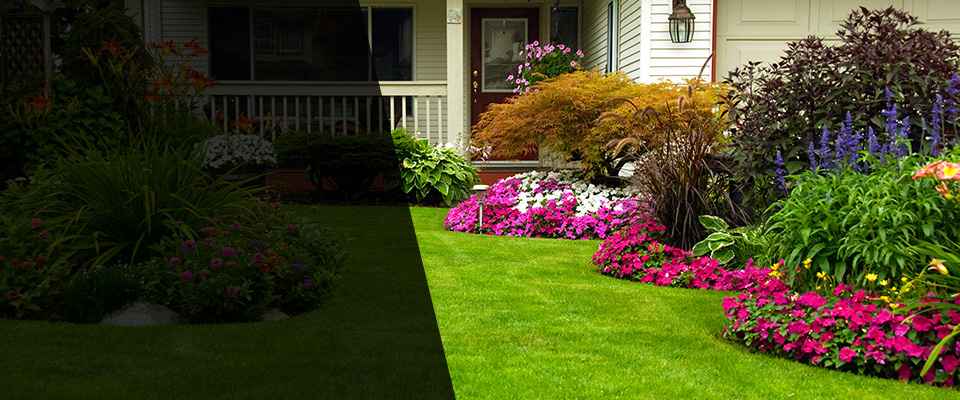 Lutherville Timonium Landscapers