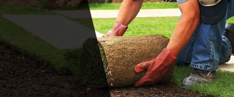 Lutherville Timonium Landscapers